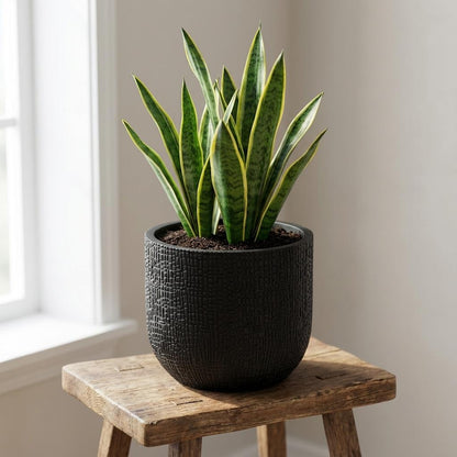 Capi Nature Skin Pot Bol Antraciet - D14cm - 13cm