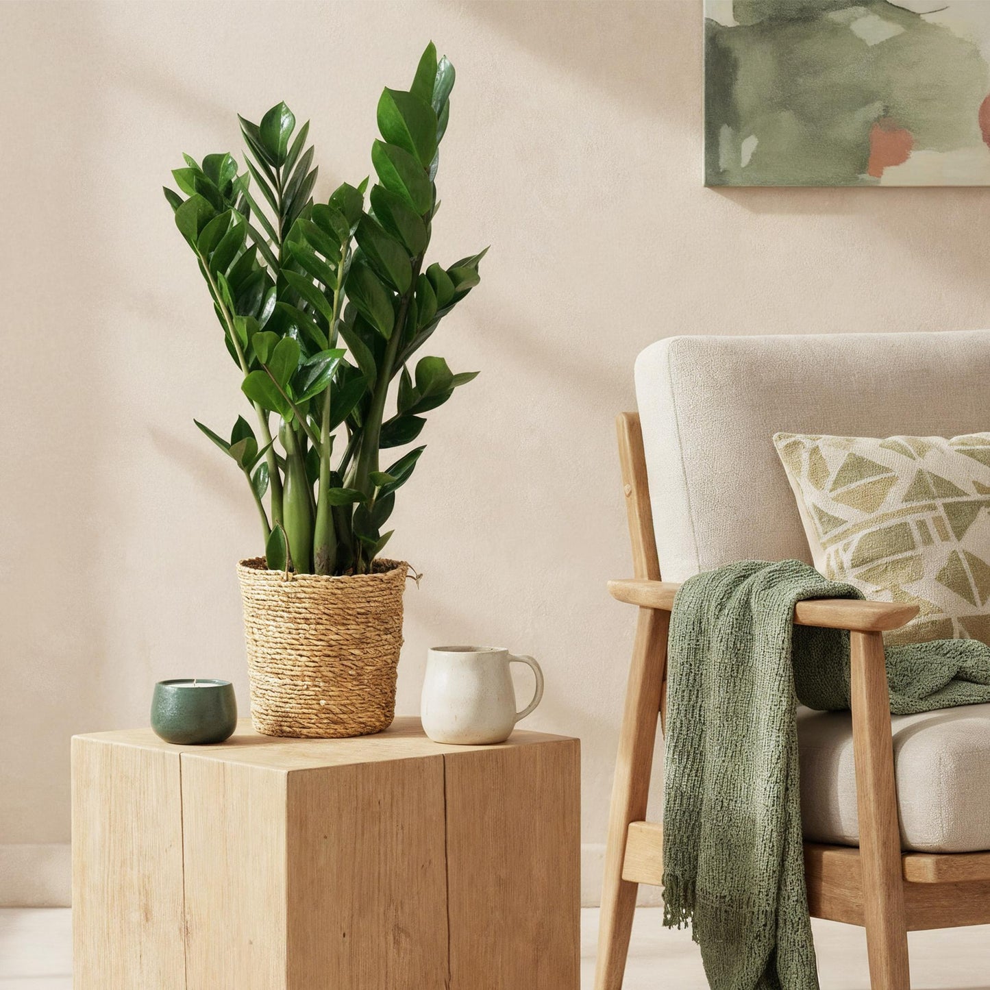  - Green is... Kamerplanten - Zamioculcas - ZZ-plant - Weinig onderhoud - Groen - 2 Planten - Pot 17cm - Hoogte 65-75cm