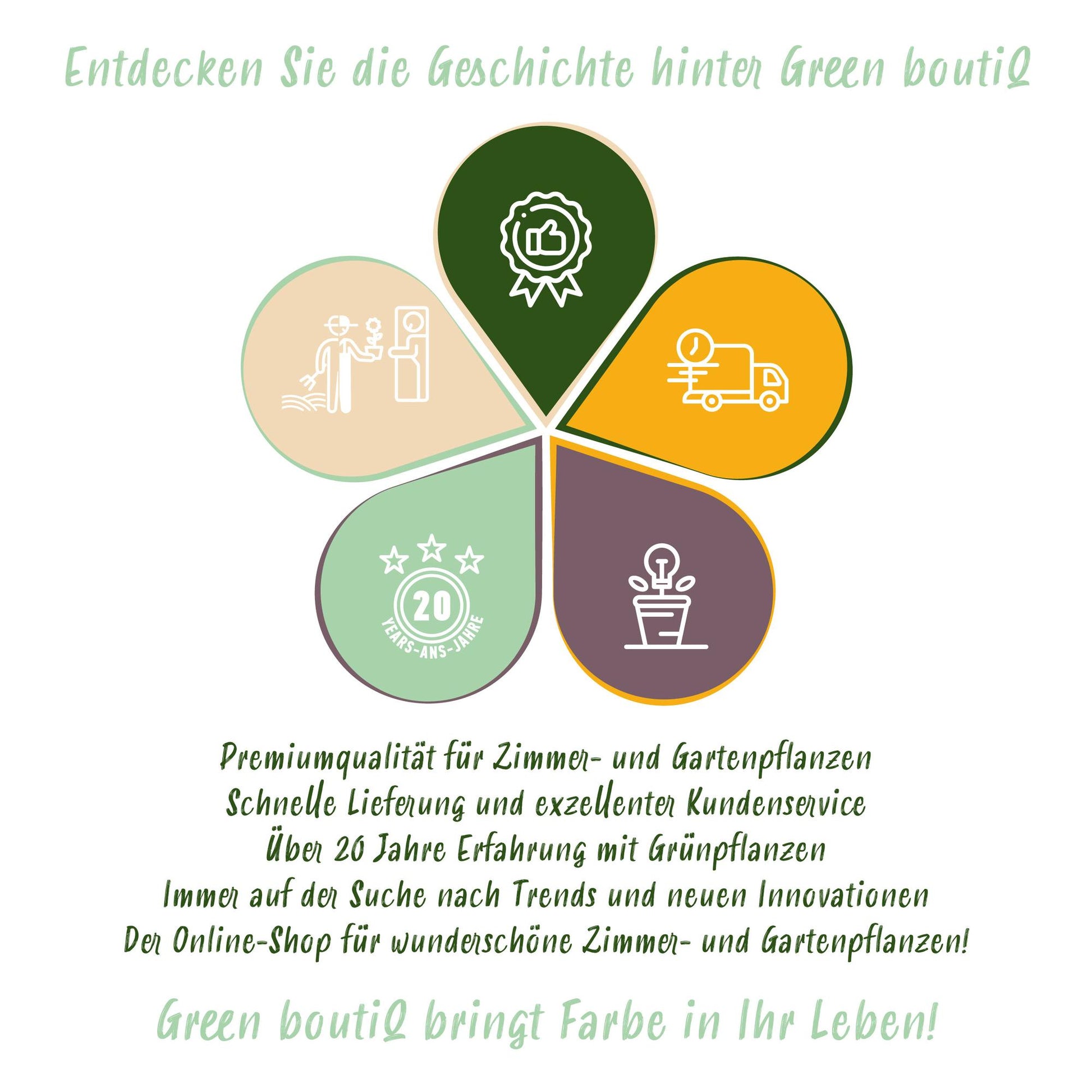 Green BoutiQ - Kamerplanten - Alocasia Cucullata - Boeddha,s hand - Weinig onderhoud - Groen - 1 Plant - met Potter Grijs - Pot 21cm - Hoogte 65-70cm