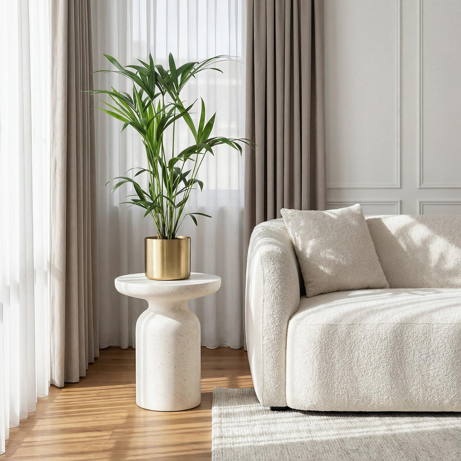 Green boutiQ - Kamerplant - Howea Forsteriana - Kentia Palm - Weinig Onderhoud - Groen - 1 plant - Pot 19cm - Hoogte 80-85cm