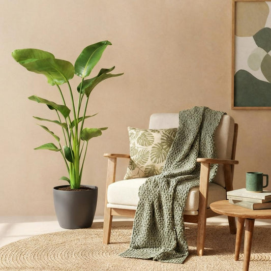 Paradijsvogelplant Strelitzia Nicolai met pot Hoogte 110-120cm