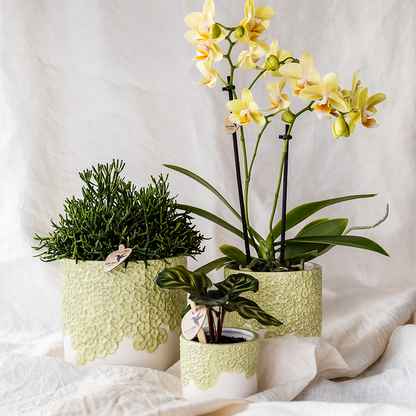 Kolibri Home | Bloom sierpot - Green - Ø12cm
