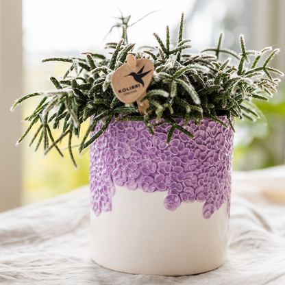 Kolibri Home | Bloom sierpot - Lila - Ø12cm