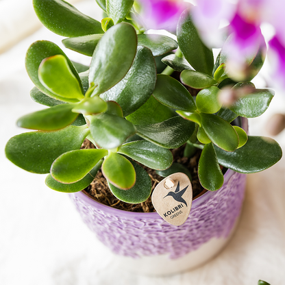 Kolibri Home | Bloom sierpot - Lila - Ø6cm