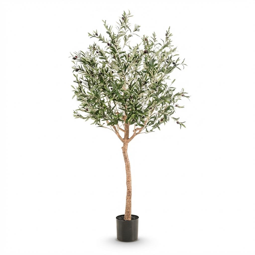 Kunst Olijfboom - Olea europaea - Olijfboom - 180 cm