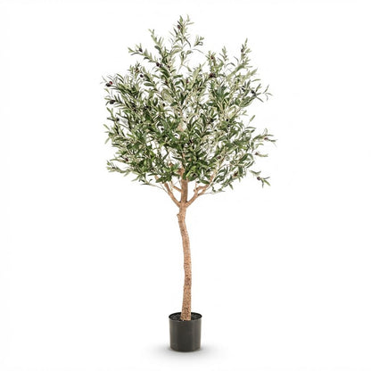 Kunst Olijfboom - Olea europaea - Olijfboom - 180 cm