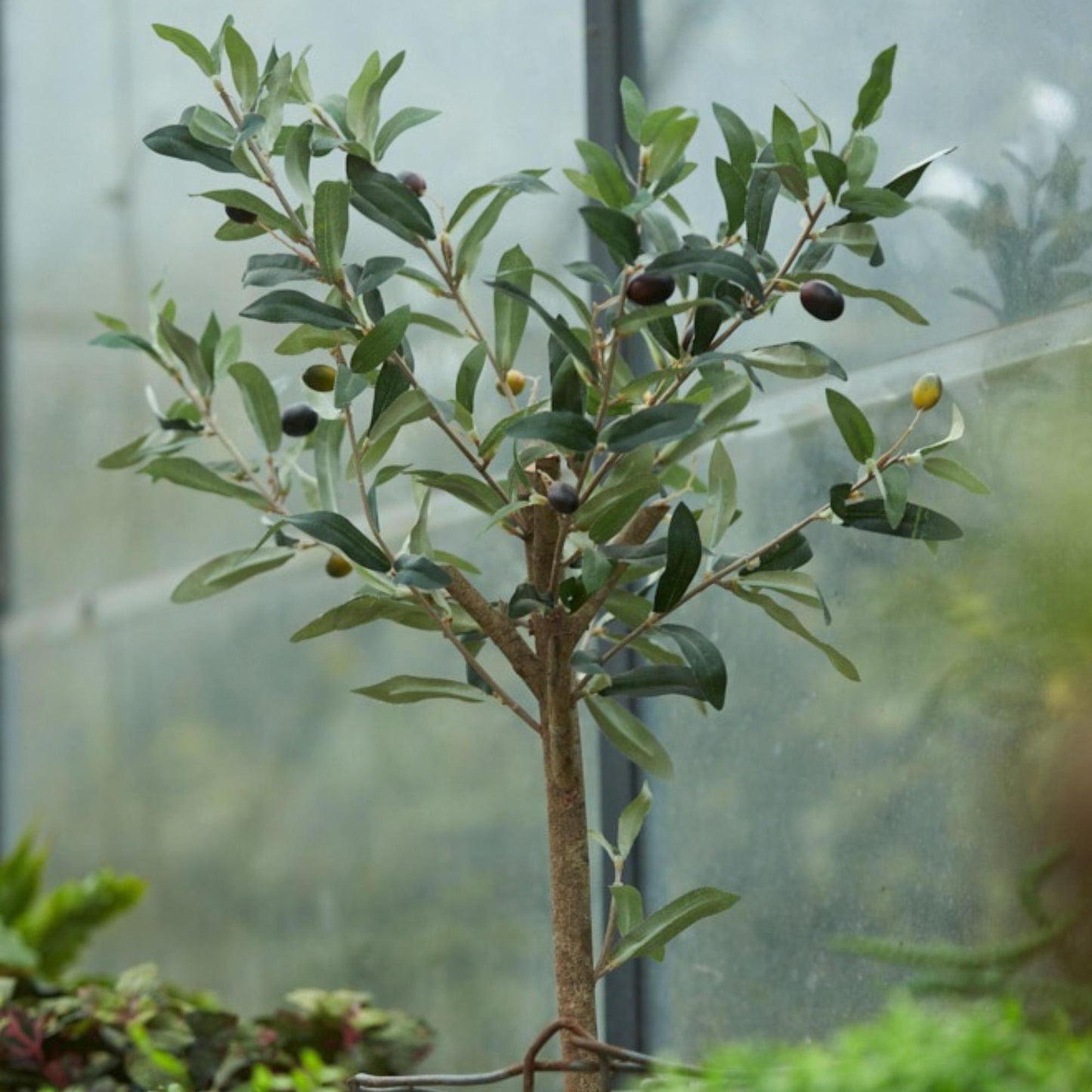 Olijfboom in pot 65cm – Kunstplant - Artificial plant