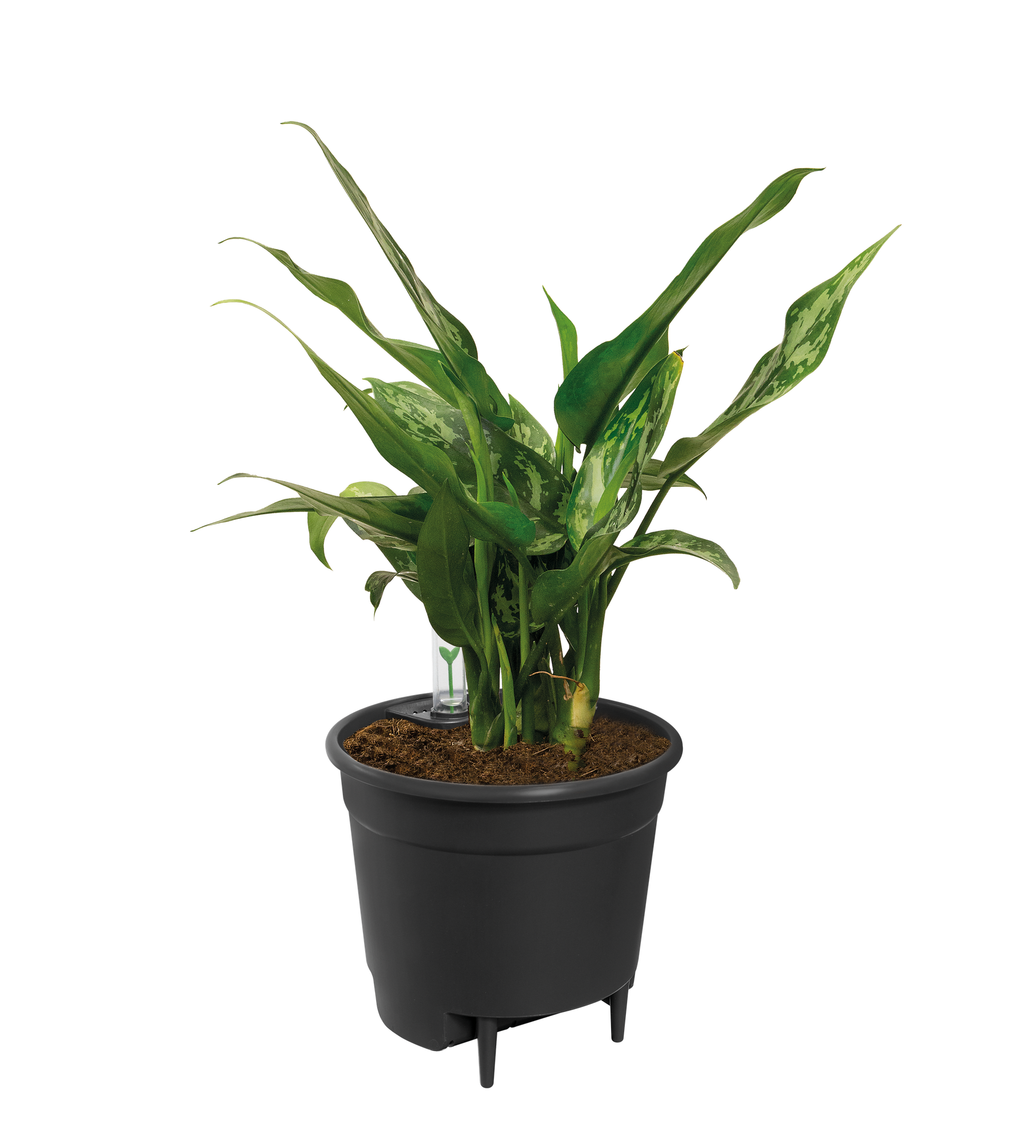 Self Watering Insert - 17 cm